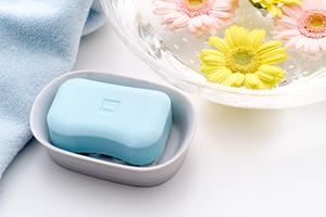 【徹底解説】広島で信頼できるイタチ駆除の専門対策と長期再発防止法